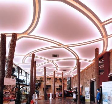 Preview: 5050-96-24V-RGB+6200K-5m-Silikon