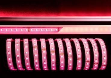 Preview: 5050-60-24V-RGB+6200K-5m-Silikon