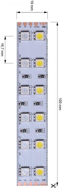 5050-2x60-24V-RGB+6000K-3m