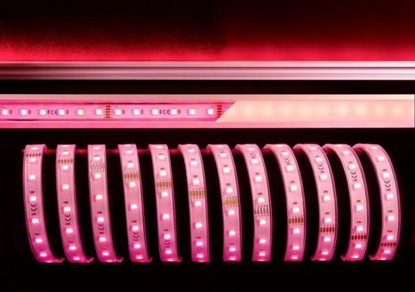 5050-60-24V-RGB+6200K-5m-Silikon